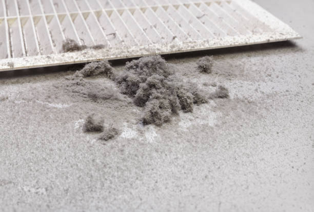 Best Commercial Air Duct Cleaning  in Falfurrias, TX