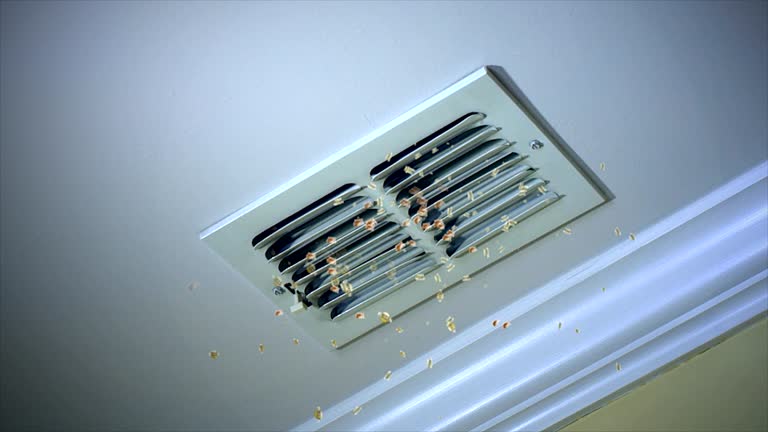 Best Ductwork Cleaning Services  in Falfurrias, TX