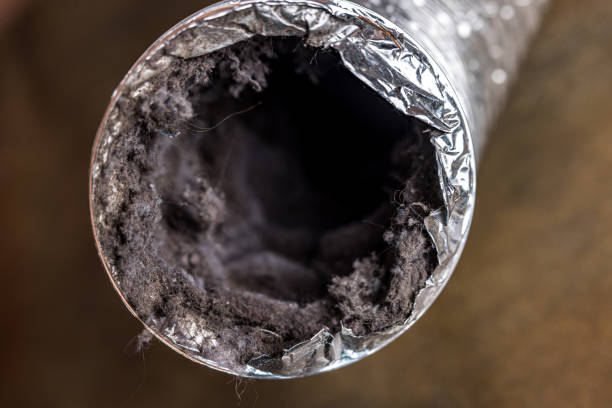 Best Residential Air Duct Cleaning  in Falfurrias, TX