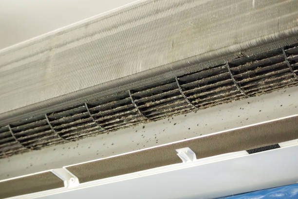 Best Commercial HVAC Duct Cleaning  in Falfurrias, TX